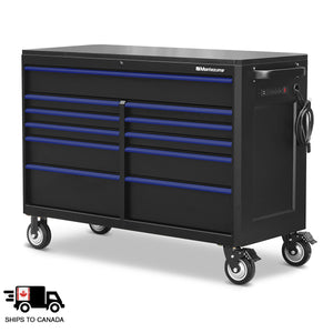 56 x 24 in. 11-Drawer Tool Cabinet